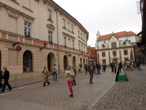 219 palat de iarna Czatoryski