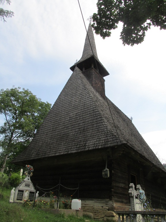 460 Runcu Salvei XVII