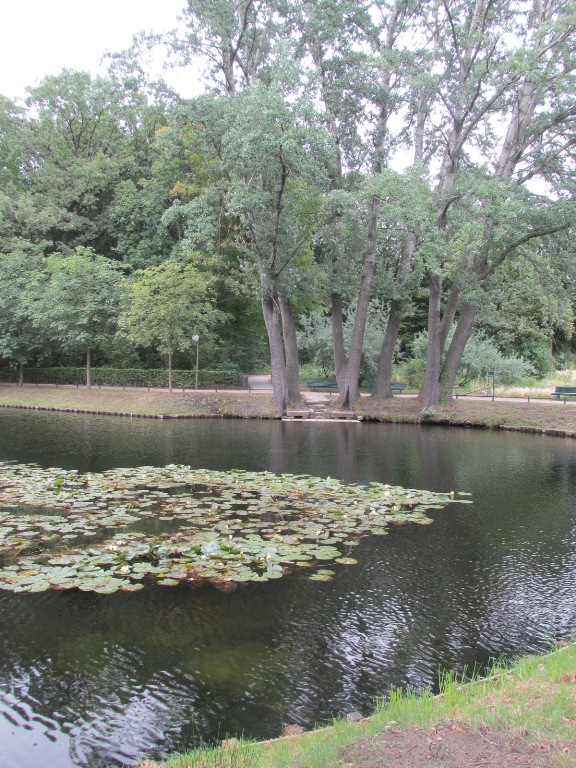 139 Tiergarten grose