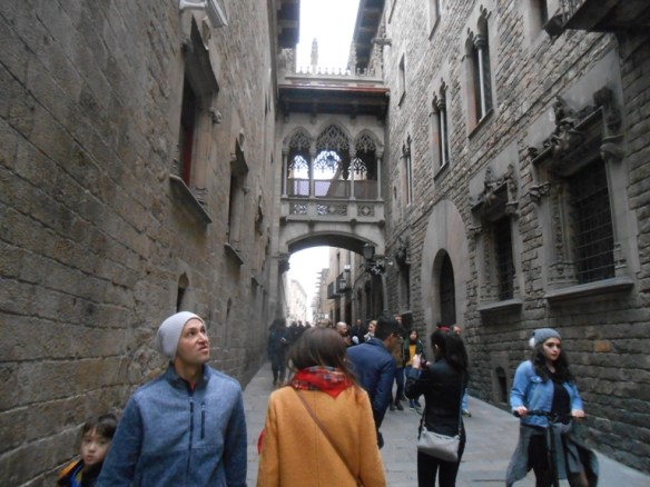 202 dr. casa Canonges