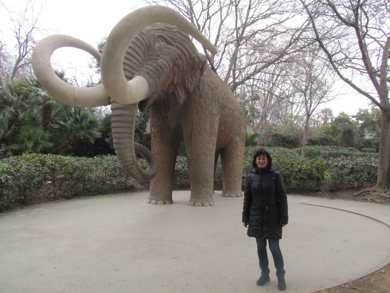 34 mamutul de piatra