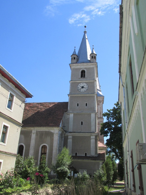 77 Bis. evanghelica luterana